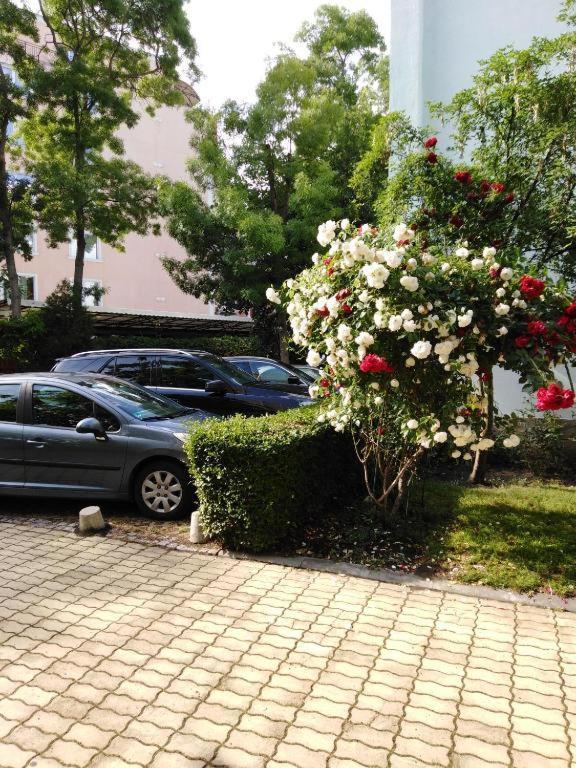 Guest Apartment Dental Space Слънчев бряг Екстериор снимка